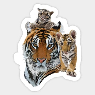 Bengal tiger and hazy tiger Sticker